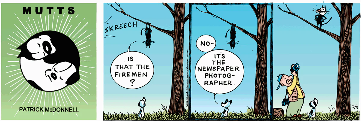 March 3 2013, Sunday Comic Strip