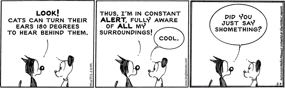 March 3 2022, Daily Comic Strip