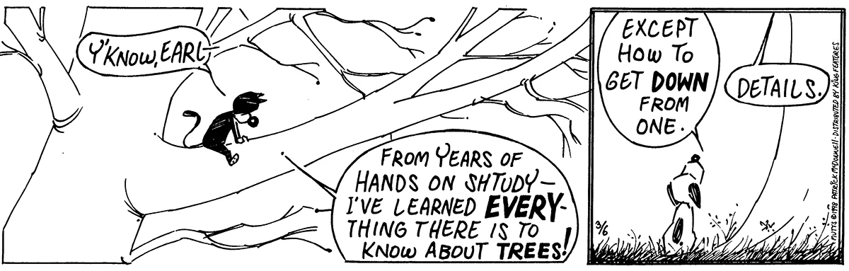 March 6 1998, Daily Comic Strip