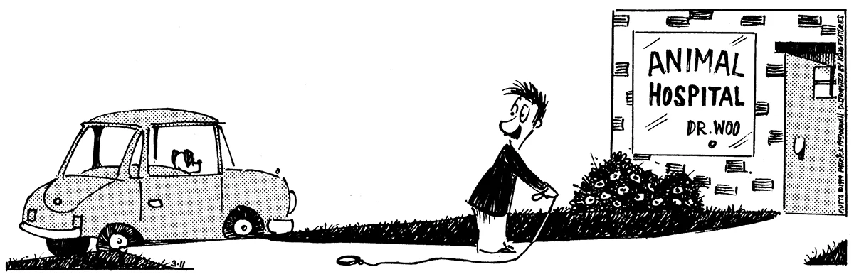 March 11 1999, Daily Comic Strip