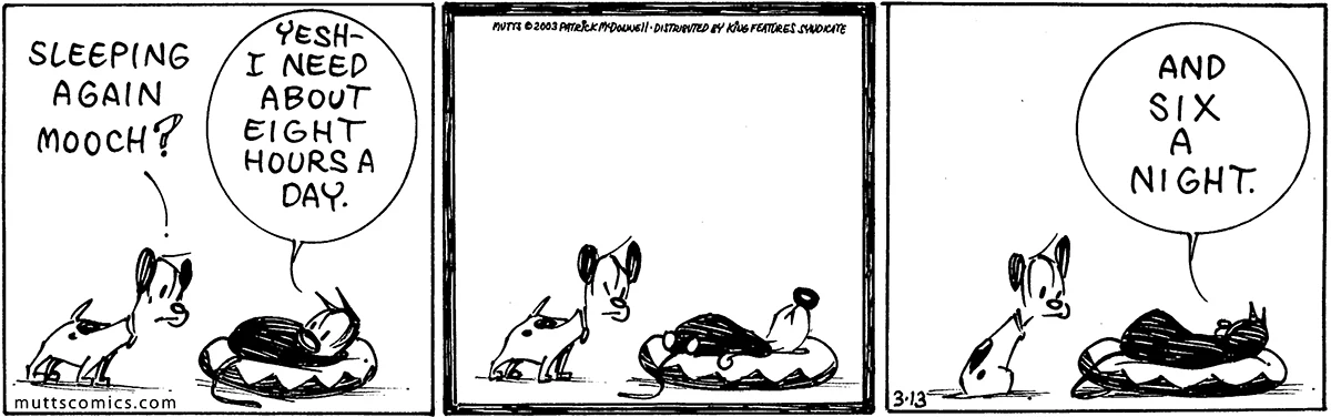 March 13 2003, Daily Comic Strip