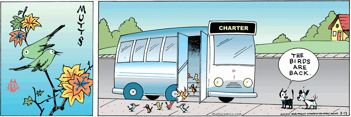 March 13 2011, Sunday Comic Strip
