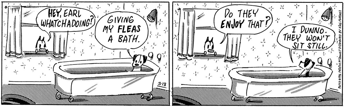 March 13 1996, Daily Comic Strip