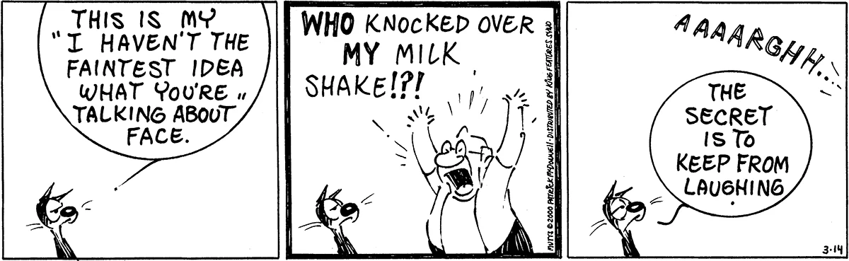 March 14 2000, Daily Comic Strip