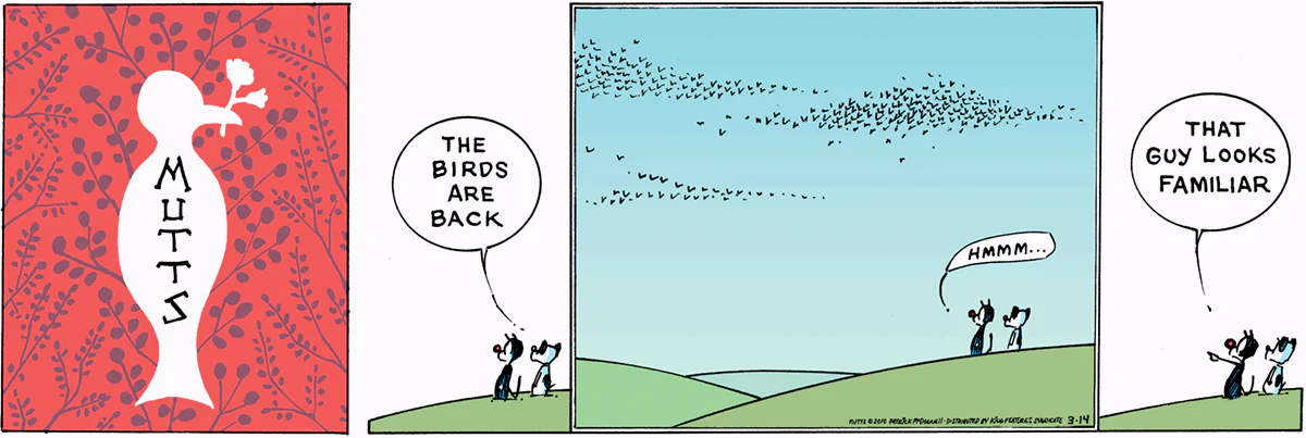 March 14 2010, Sunday Comic Strip