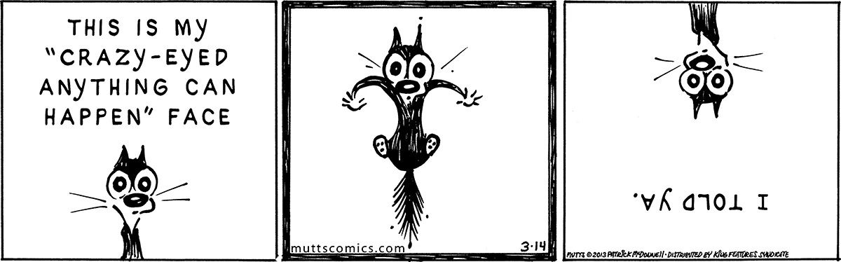 March 14 2013, Daily Comic Strip