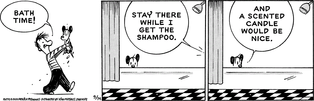 March 14 2020, Daily Comic Strip