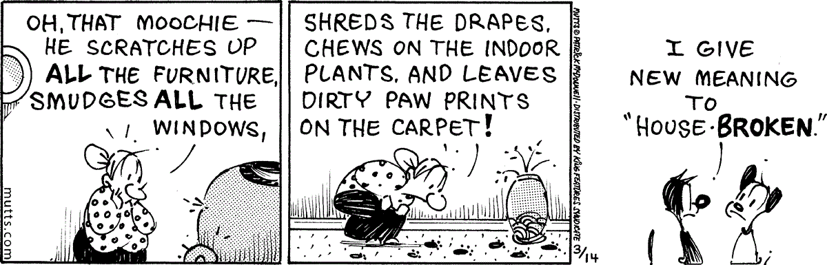 March 14 2024, Daily Comic Strip