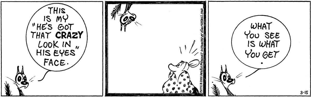 March 15 2000, Daily Comic Strip