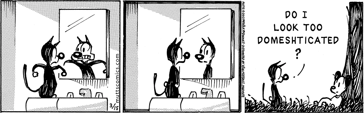 March 15 2013, Daily Comic Strip