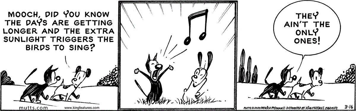 March 16 2020, Daily Comic Strip