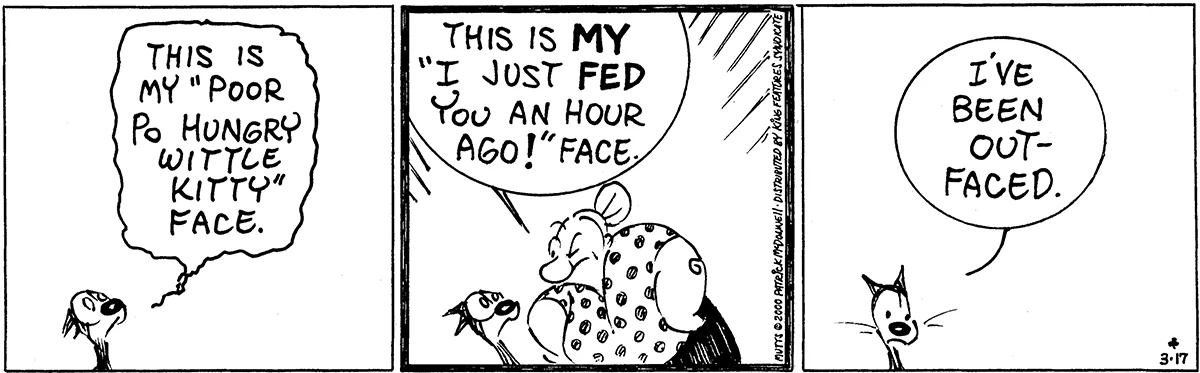 March 17 2000, Daily Comic Strip