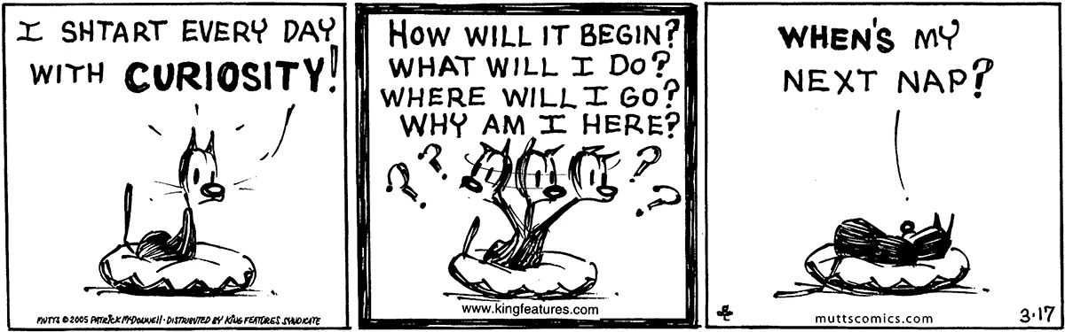 March 17 2005, Daily Comic Strip