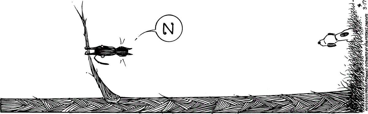 March 17 2022, Daily Comic Strip