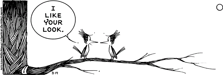 March 19 2016, Daily Comic Strip