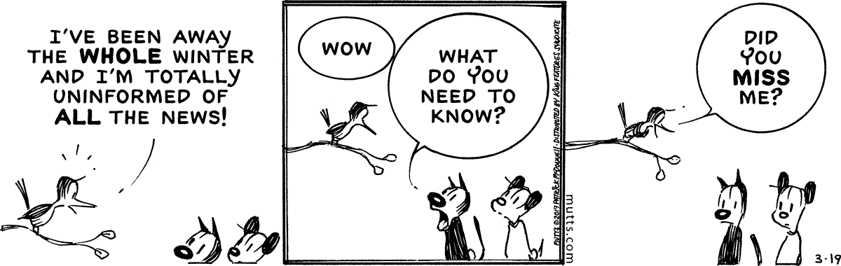 March 19 2019, Daily Comic Strip