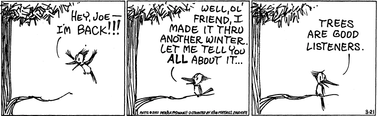 March 21 2001, Daily Comic Strip