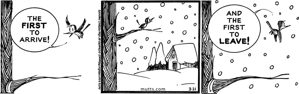 March 21 2019, Daily Comic Strip