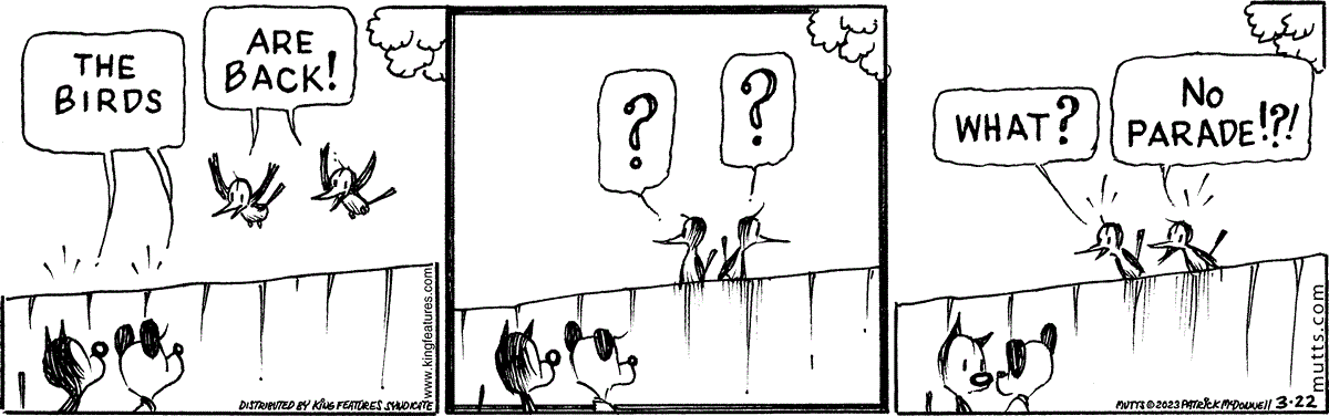 March 22 2023, Daily Comic Strip
