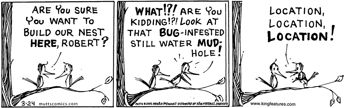 March 24 2005, Daily Comic Strip