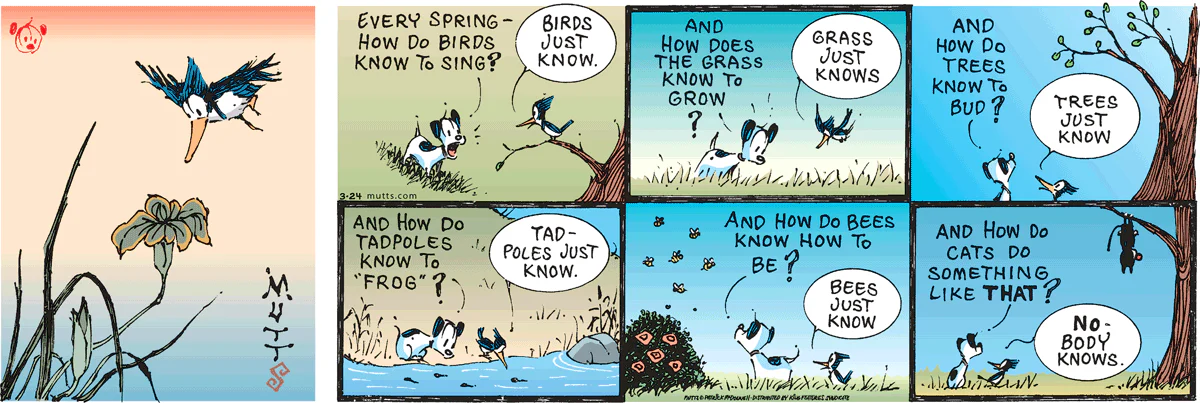 March 24 2024, Sunday Comic Strip