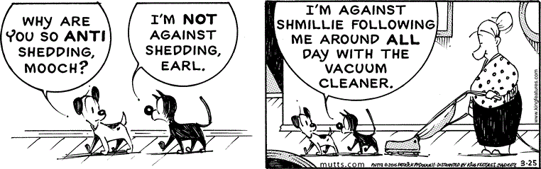 March 25 2016, Daily Comic Strip