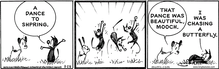 March 25 2017, Daily Comic Strip