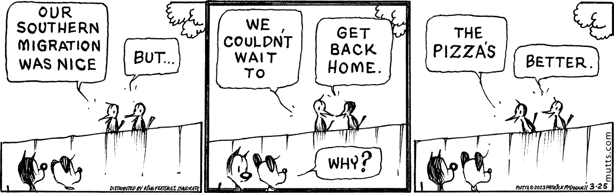 March 25 2023, Daily Comic Strip