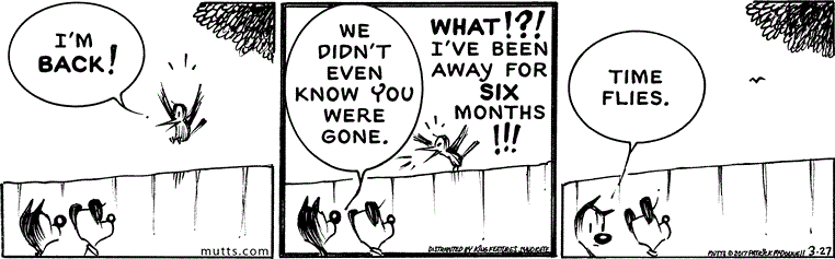 March 27 2017, Daily Comic Strip