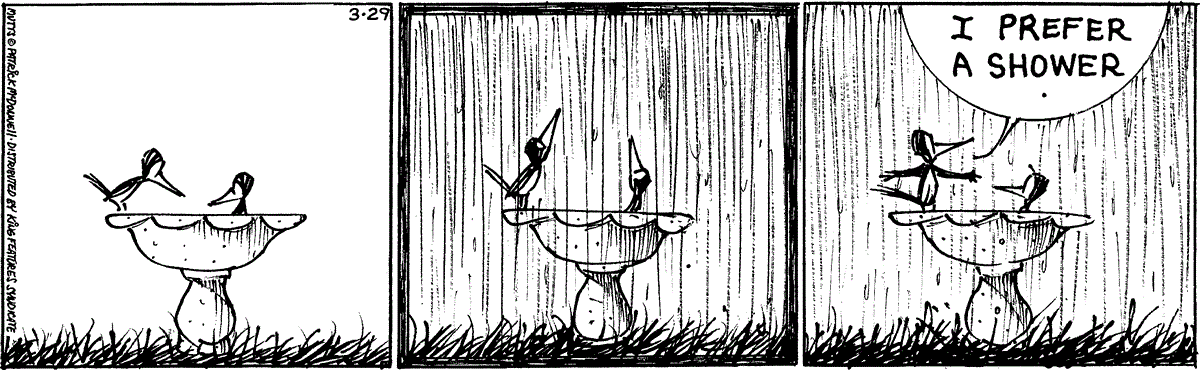 March 29 2025, Daily Comic Strip