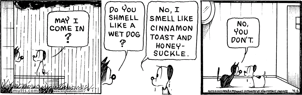 April 6 2023, Daily Comic Strip