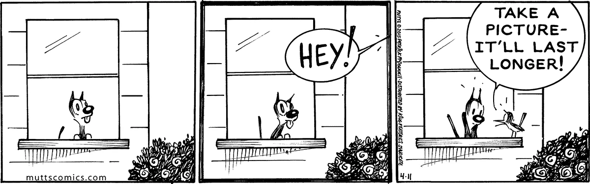 April 11 2015, Daily Comic Strip