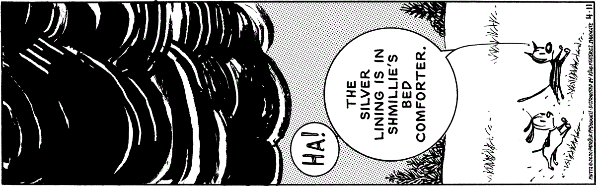 April 11 2020, Daily Comic Strip