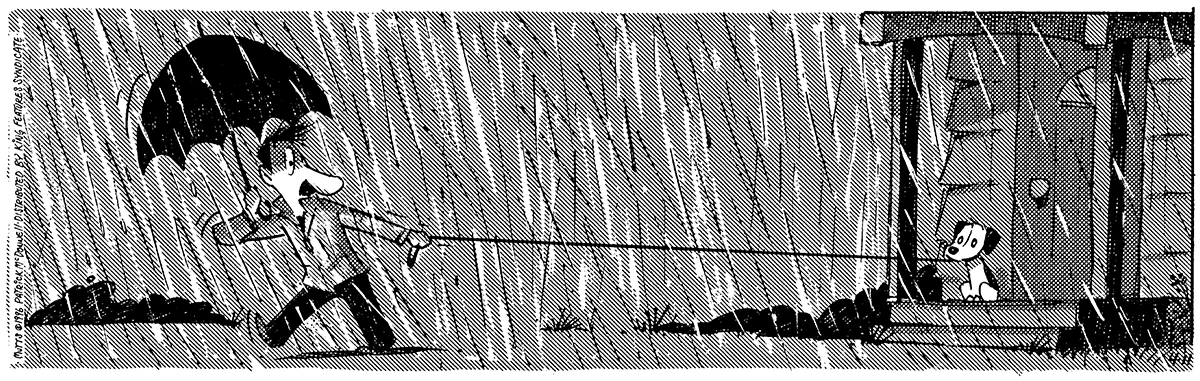 April 11 1996, Daily Comic Strip