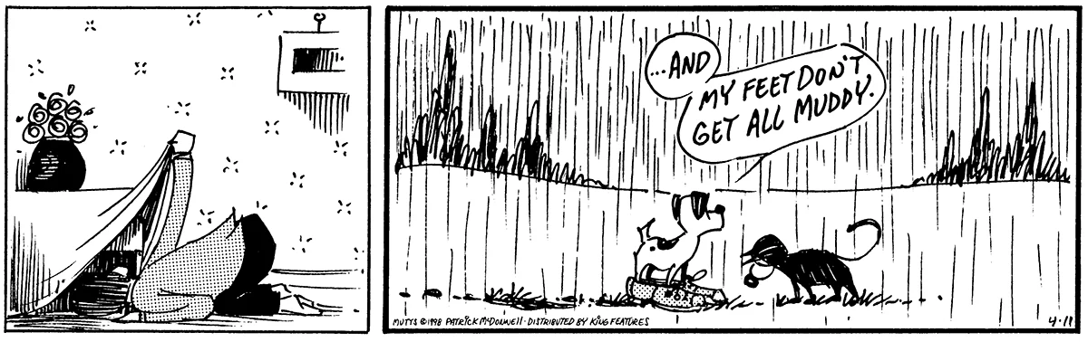 April 11 1998, Daily Comic Strip