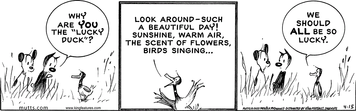 April 15 2022, Daily Comic Strip
