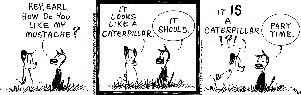 April 15 2024, Daily Comic Strip