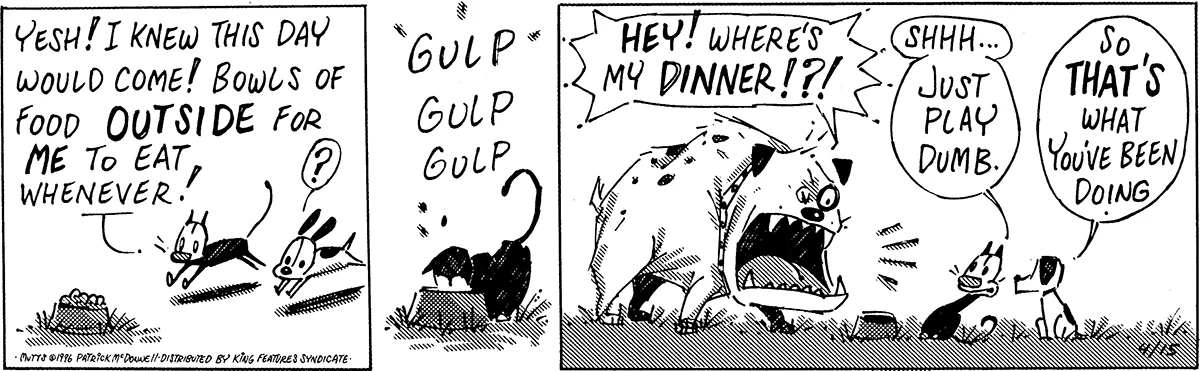 April 15 1996, Daily Comic Strip