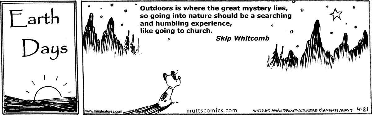 April 21 2010, Daily Comic Strip