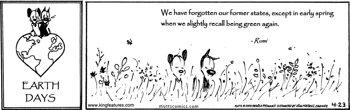 April 23 2008, Daily Comic Strip