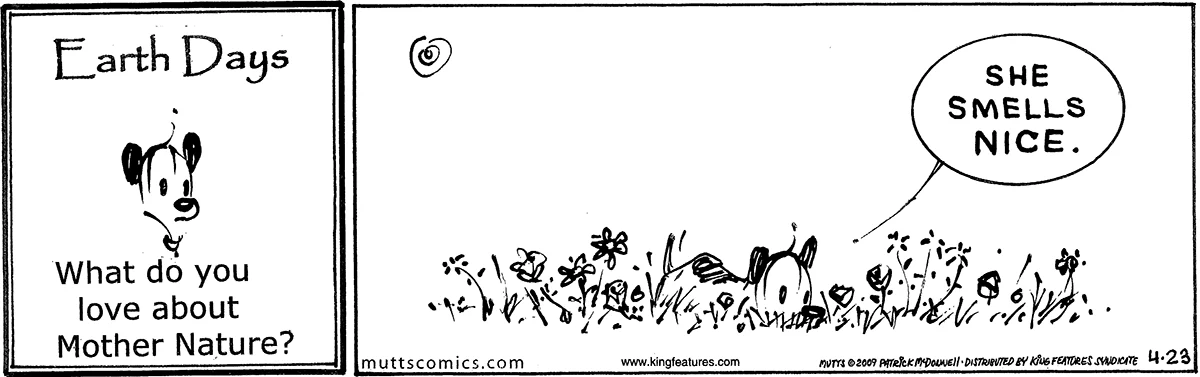 April 23 2009, Daily Comic Strip