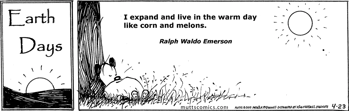 April 23 2010, Daily Comic Strip