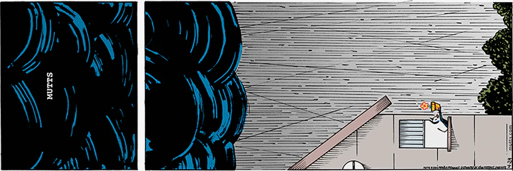 April 24 2016, Sunday Comic Strip