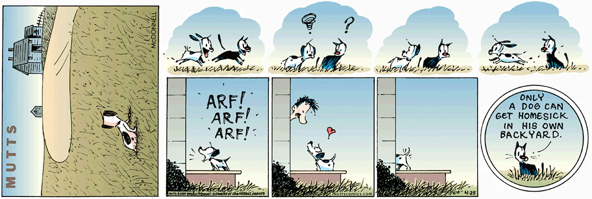 April 25 2004, Sunday Comic Strip