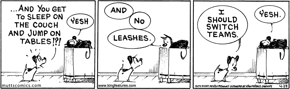 April 25 2007, Daily Comic Strip