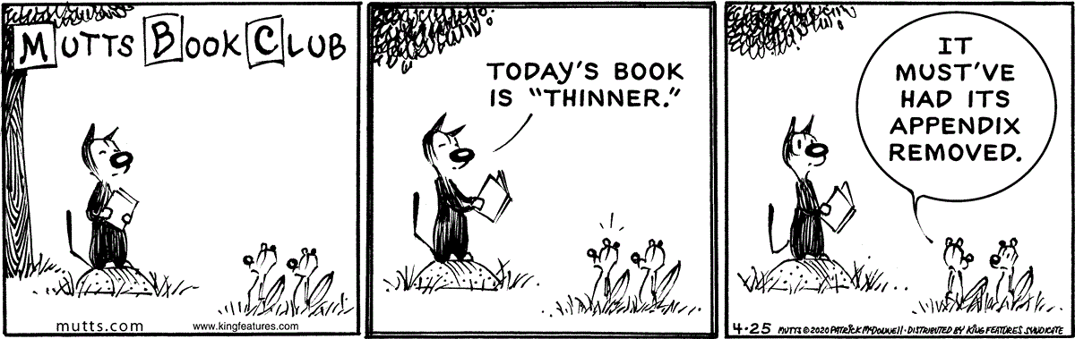 April 25 2020, Daily Comic Strip