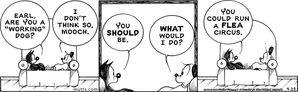 April 25 2022, Daily Comic Strip