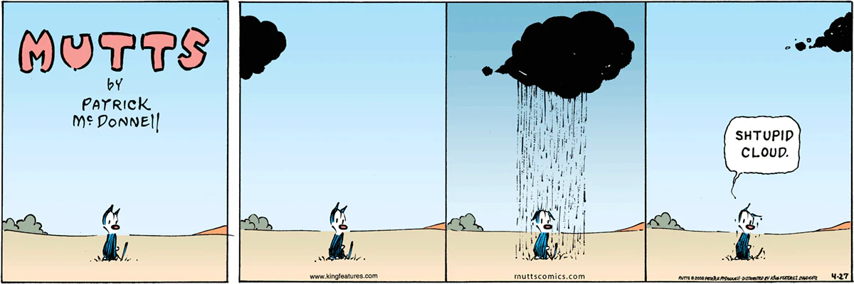April 27 2008, Sunday Comic Strip