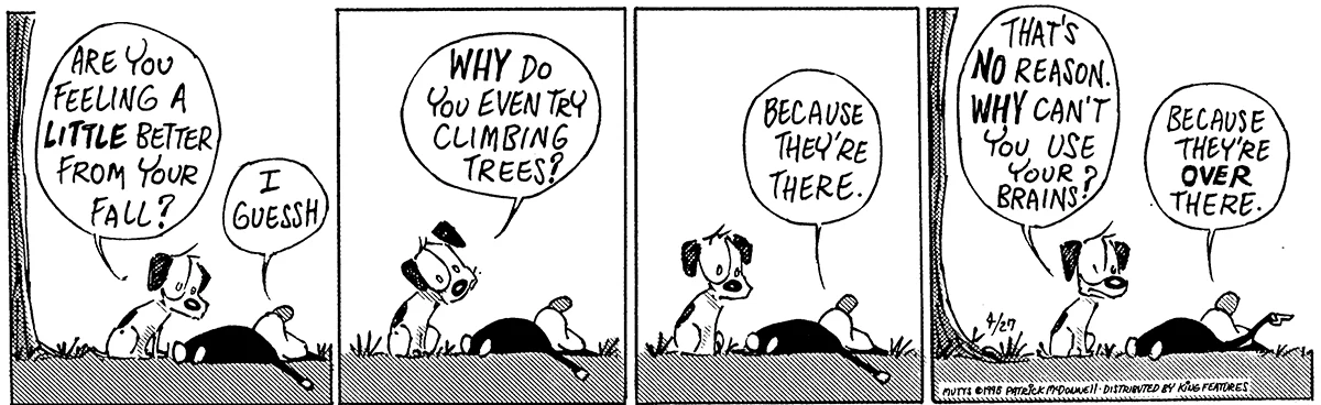 April 27 1995, Daily Comic Strip