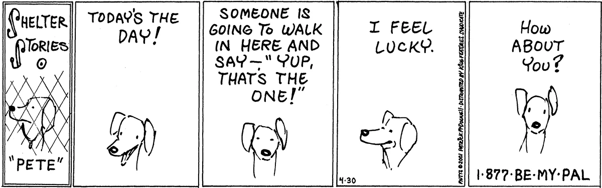 April 30 2001, Daily Comic Strip